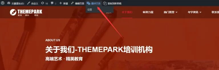 进行手动翻译